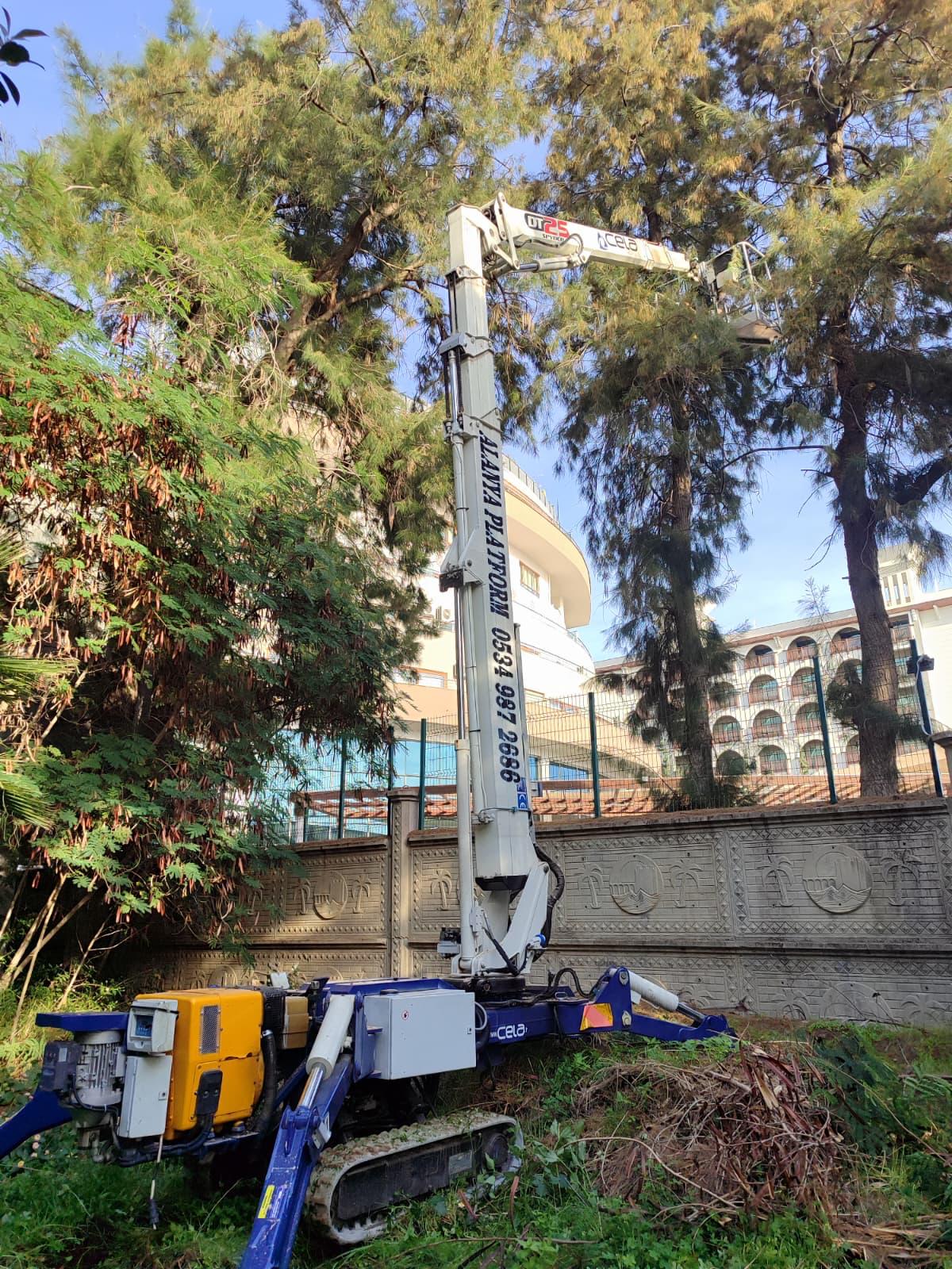 Alanya Spider Platform Work 14